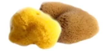 Naturalna gąbka morska (struktura jedwabiu) 9.5-11cm