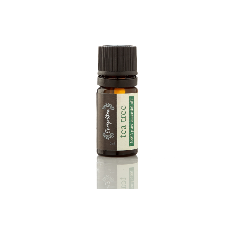 Olejek eteryczny drzewo herbaciane 5ml