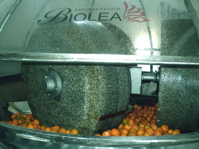 Oliwa Biolea Nerantzio Tłoczona z Pomarańczami 250ml BIO